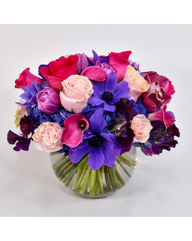 As Shown-Premium size, inches height and inches wide.