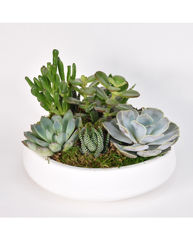 Standard size, 6 inches height and 8 inches wide.