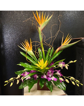 As Shown Deluxe size, inches height and inches wide.