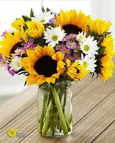 Simply Sweet size, inches height and inches wide.