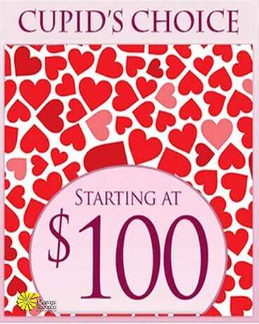 Cupid's Choice $100.00 size, inches height and inches wide.
