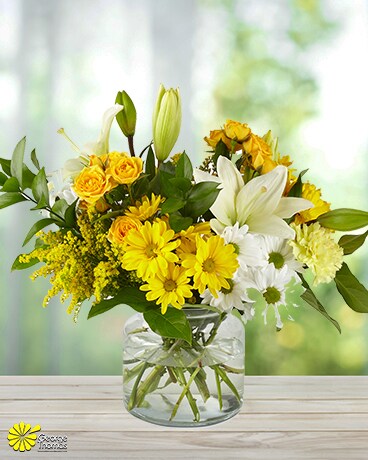 Simply Sweet size, inches height and inches wide.
