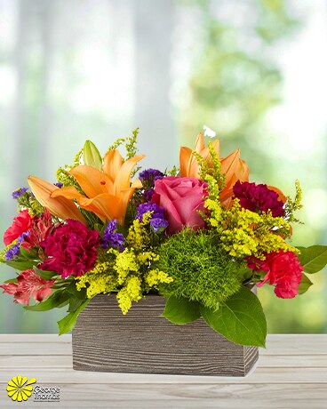 Simply Sweet size, inches height and inches wide.