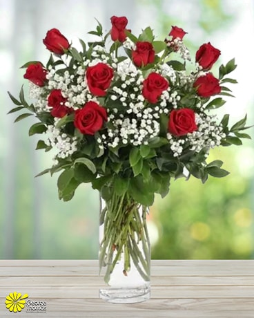 12 Signature Roses size, inches height and inches wide.