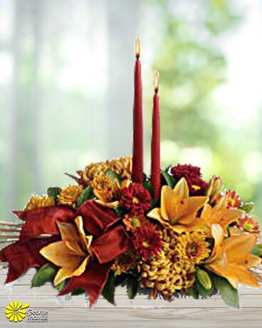 Simply Sweet size, inches height and inches wide.