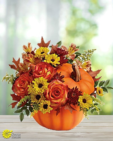Simply Sweet size, inches height and inches wide.