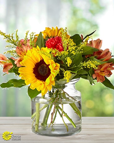 Simply Sweet size, inches height and inches wide.