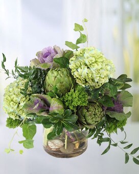Full & Lush size, inches height and inches wide.