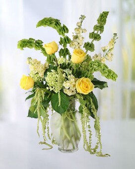 Full & Lush size, inches height and inches wide.