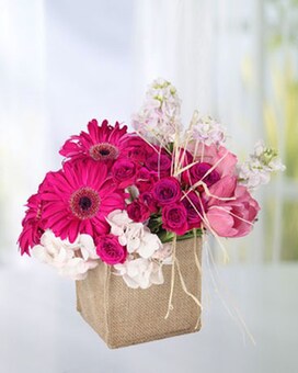 Bountiful Blooms size, inches height and inches wide.