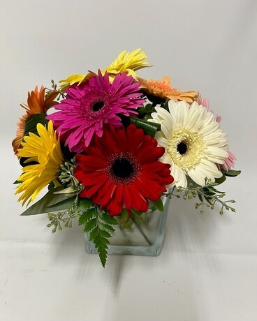 Standard size, 10 inches height and 10 inches wide.