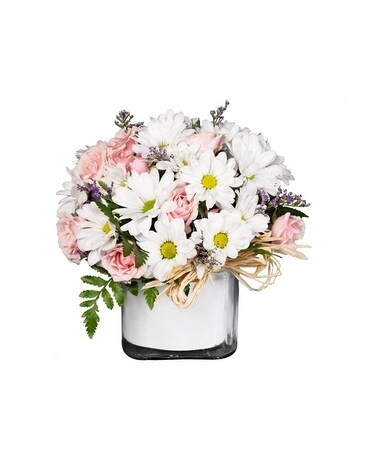 Standard size, 9.5 inches height and 10 inches wide.