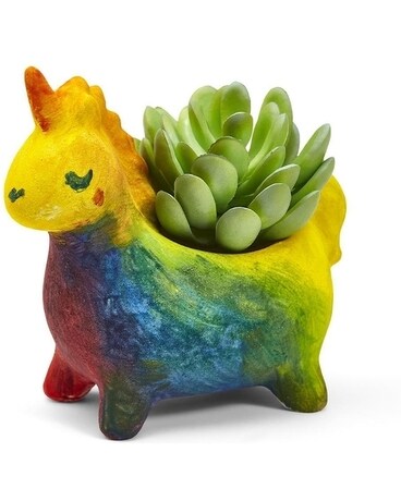 Unicorn size, inches height and inches wide.