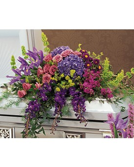 Standard size, 44 inches height and 40 inches wide.