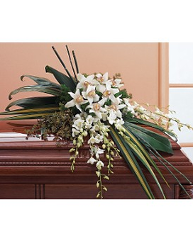 Standard size, 42 inches height and 48 inches wide.
