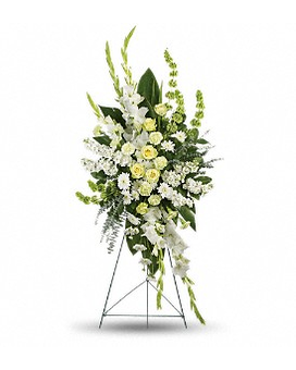 Standard size, 58.5 inches height and 29 inches wide.