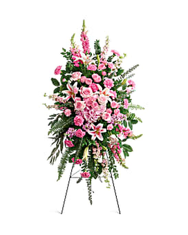 Premium size, inches height and inches wide.