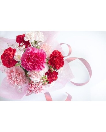 NO VASE(12) CARNATIONS size, inches height and inches wide.