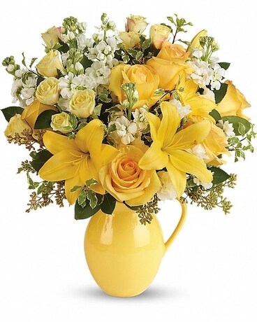 Premium size, 18 1/4 inches height and 16 and a half inches wide.
