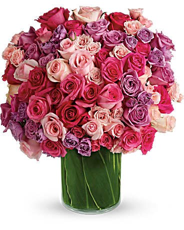 5 dozen size, inches height and inches wide.