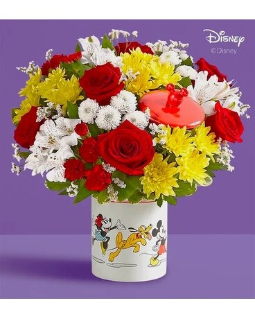 Cookie Jar Collectable size, inches height and inches wide.