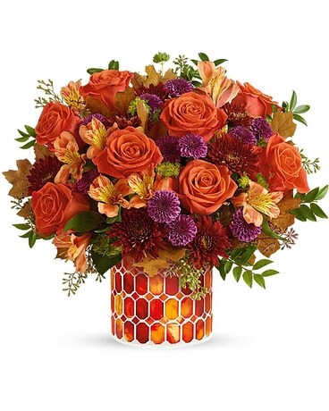 Premium size, 13 inches height and 14 and a half inches wide.