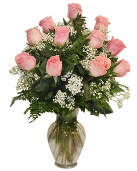 Premium-3Dozen size, inches height and inches wide.