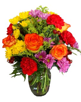 Premium size, 15 and a half inches height and 14 and a half inches wide.