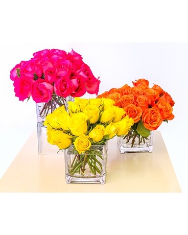 Cluster of 3 (As Shown) size, inches height and inches wide.