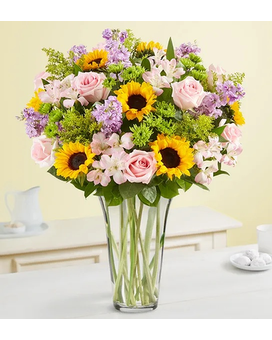 Deluxe size, inches height and inches wide.