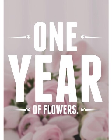 Most Popular at $70 each month size, inches height and inches wide.