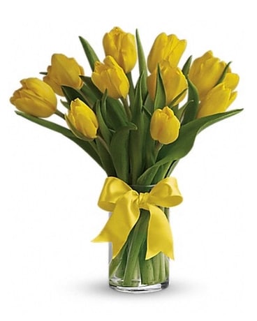 Yellow Tulips size, inches height and inches wide.