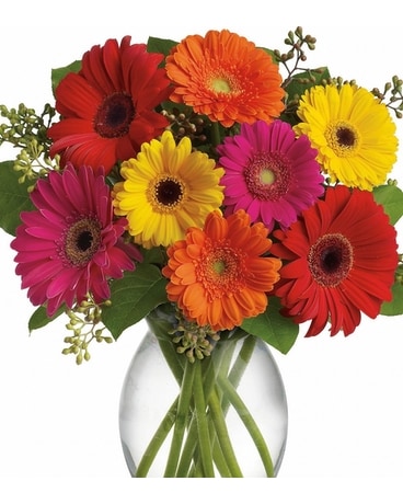 Assorted Colored Gerberas size, inches height and inches wide.