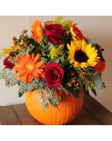 autumn pumpkin size, inches height and inches wide.
