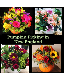 1. Orange Ceramic Pumpkin - bright, bold & colorful size, inches height and inches wide.