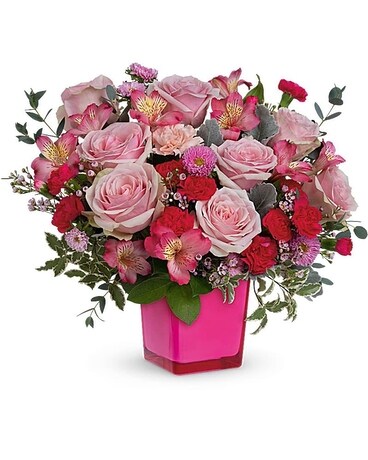 Premium size, 14 and a half inches height and 17 and a half inches wide.