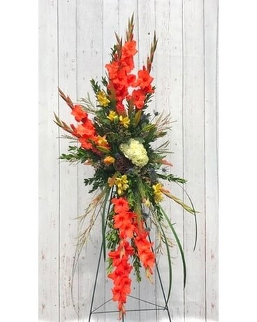 As Shown - Deluxe size, inches height and inches wide.