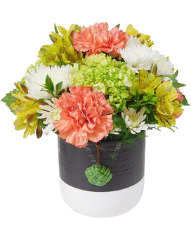 Standard size, 11.5 inches height and 9 inches wide.