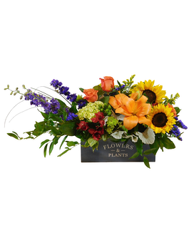 Standard size, 13 inches height and 28 inches wide.