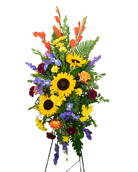 Standard size, 48 inches height and 24 inches wide.