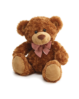 Standard size, 11 inches height and inches wide.