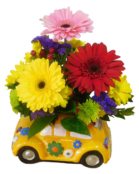 Standard size, 11.5 inches height and 11 inches wide.