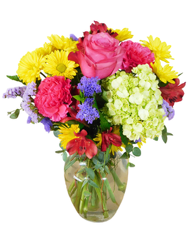 Standard size, 16 inches height and 11 inches wide.