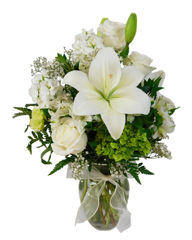 Standard size, 20 inches height and 11 inches wide.