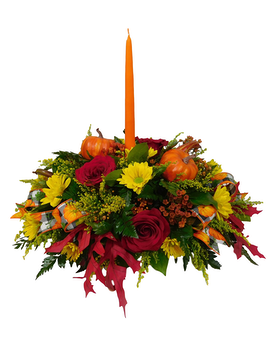 Standard size, 17 inches height and 20 inches wide.