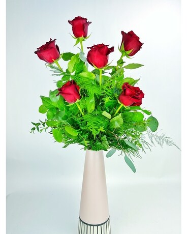 6 Red Rose Vase size, inches height and inches wide.