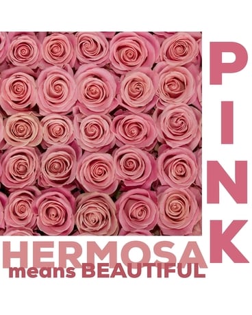 3 Dozen Pinks Mix Roses size, inches height and inches wide.