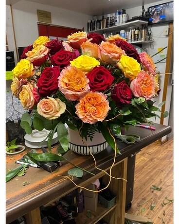 50 Mixed Roses size, inches height and inches wide.