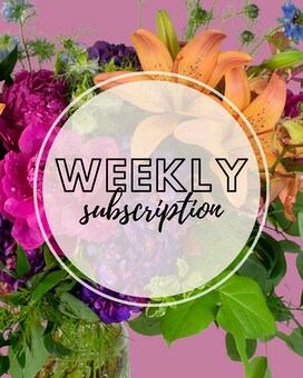 6 Weeks Wrapped size, inches height and inches wide.