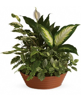 Nature Garden XL size, inches height and inches wide.